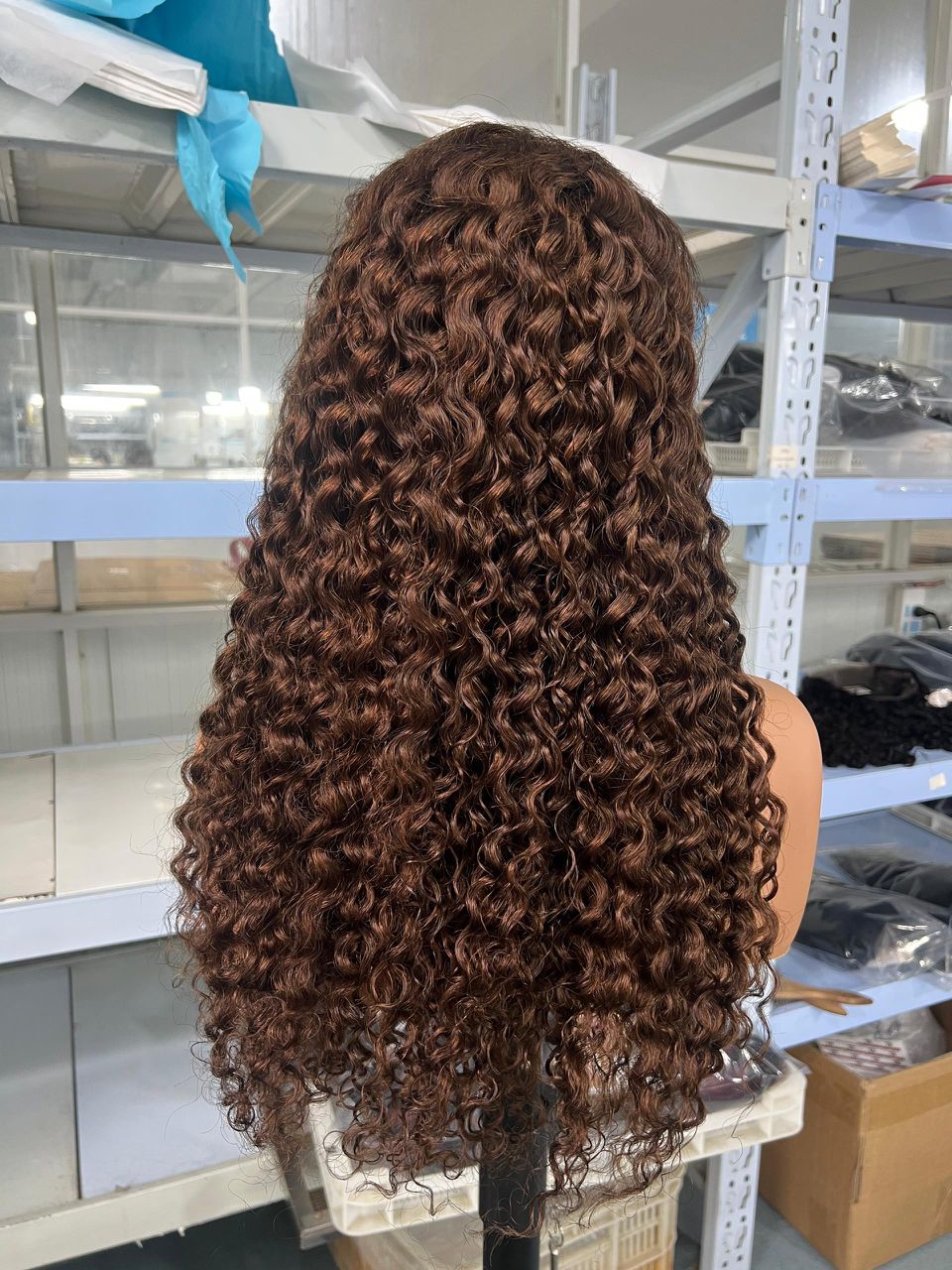 Swiss Chocolate Burmese