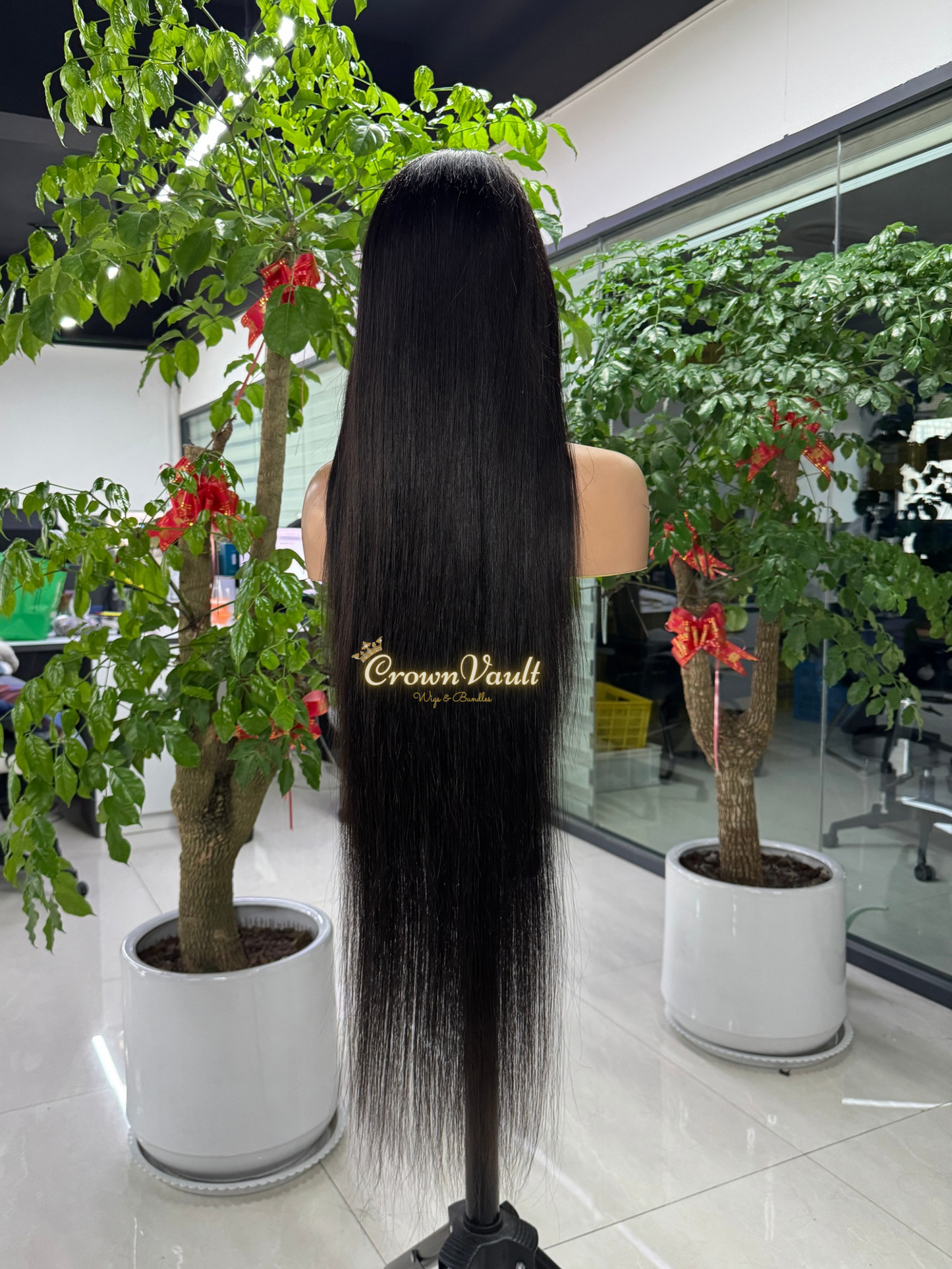 Virgin Cambodian Silky Straight Hair – Transparent Lace Wigs