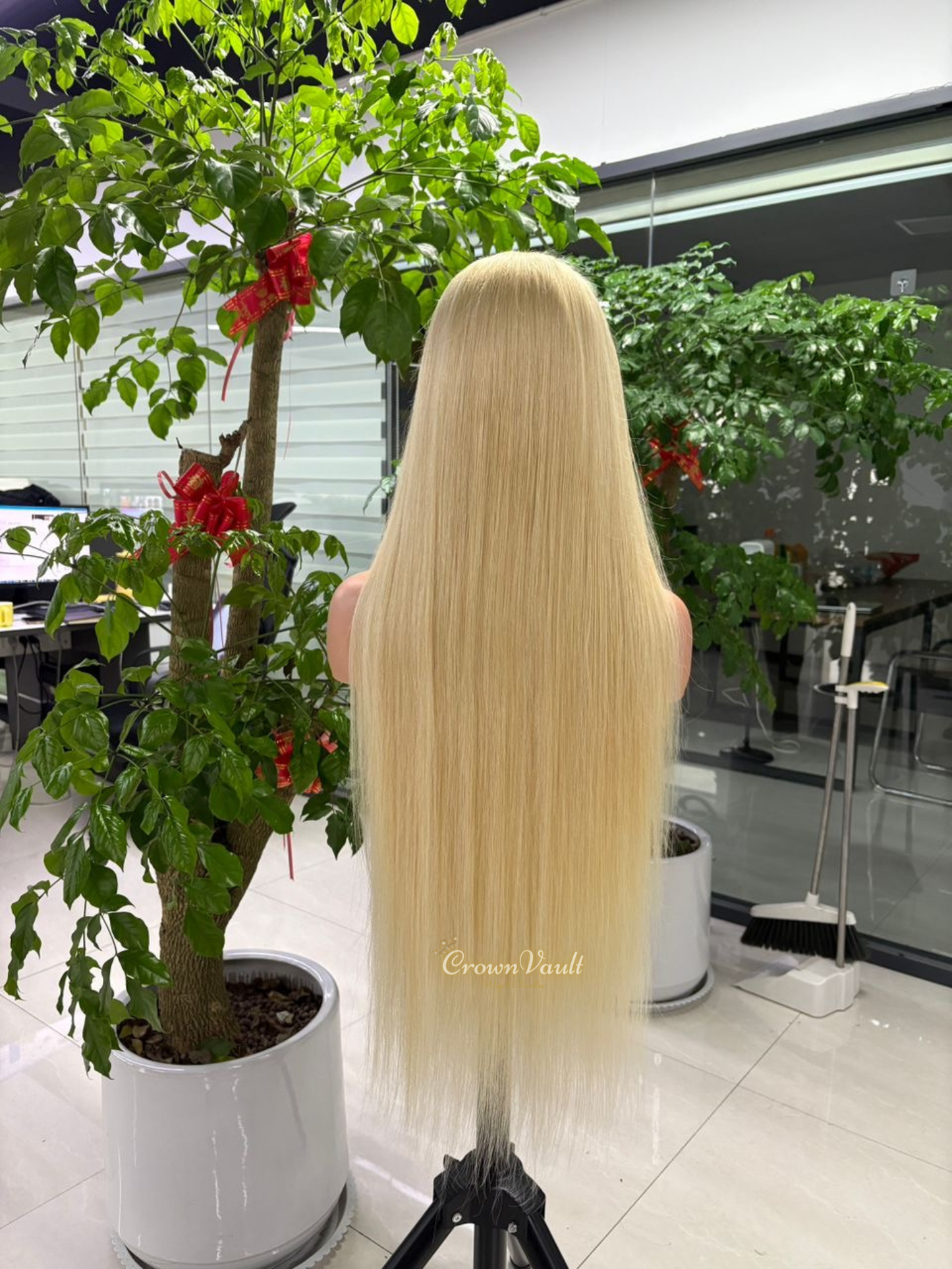 Virgin 613 Straight HD Lace Wig
