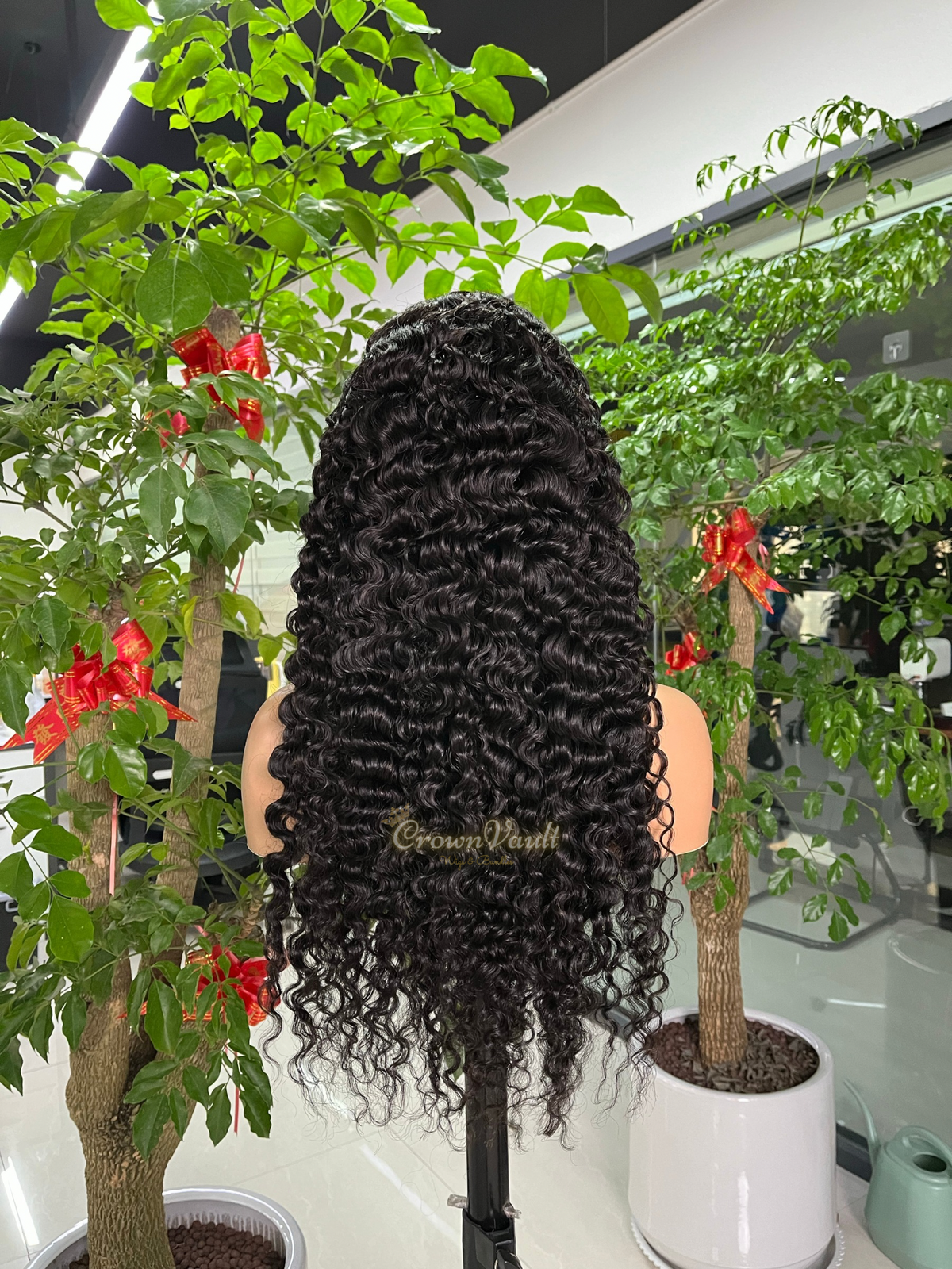 Burmese Curly Transparent Lace Wig