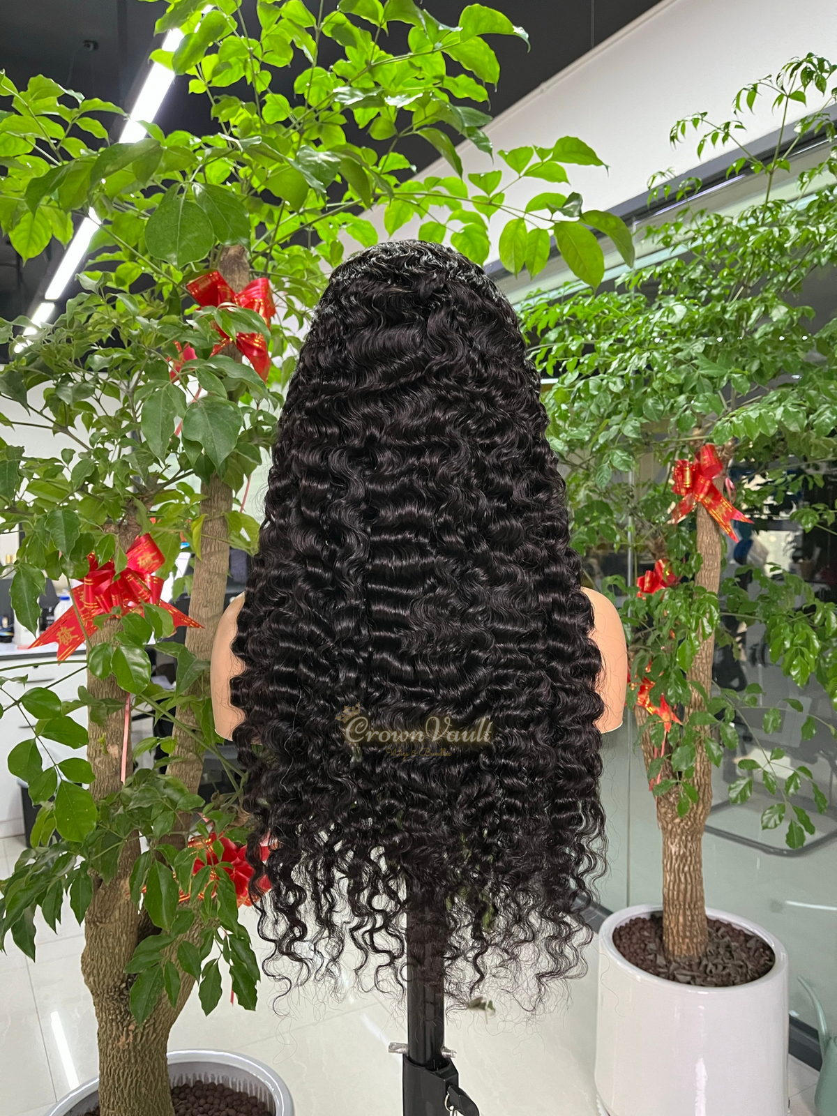 Burmese Curly Transparent Lace Wig