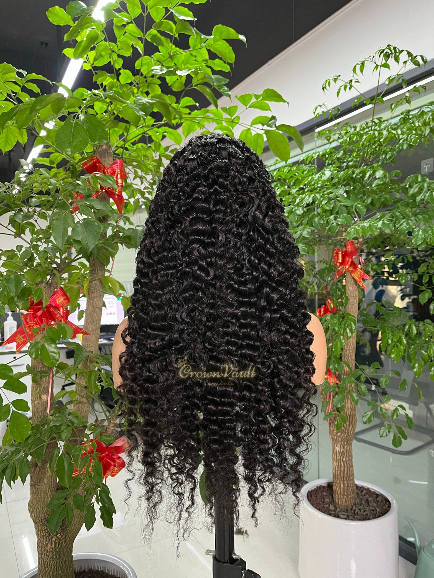 Burmese Curly Transparent Lace Wig