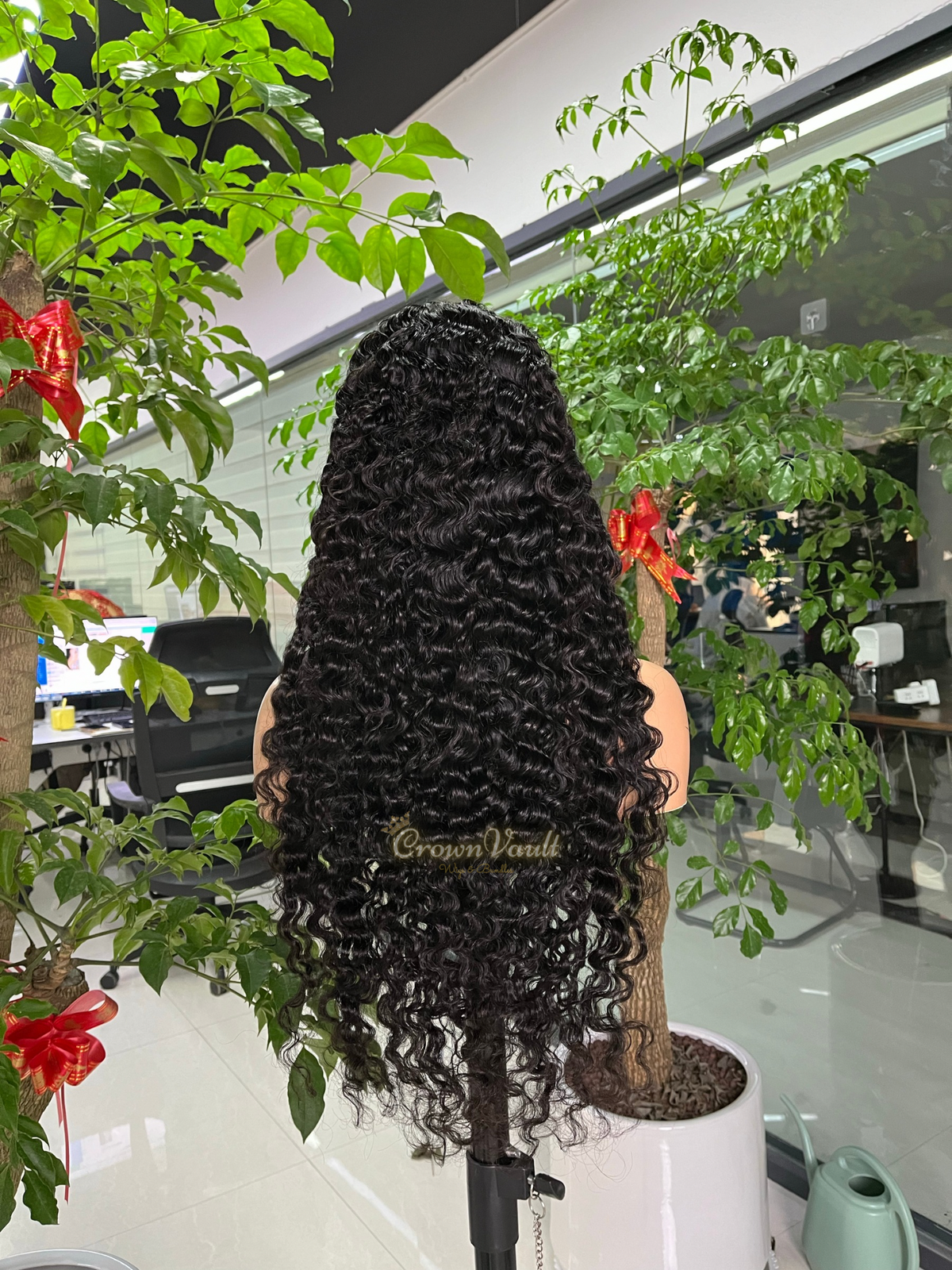 Burmese Curly Transparent Lace Wig
