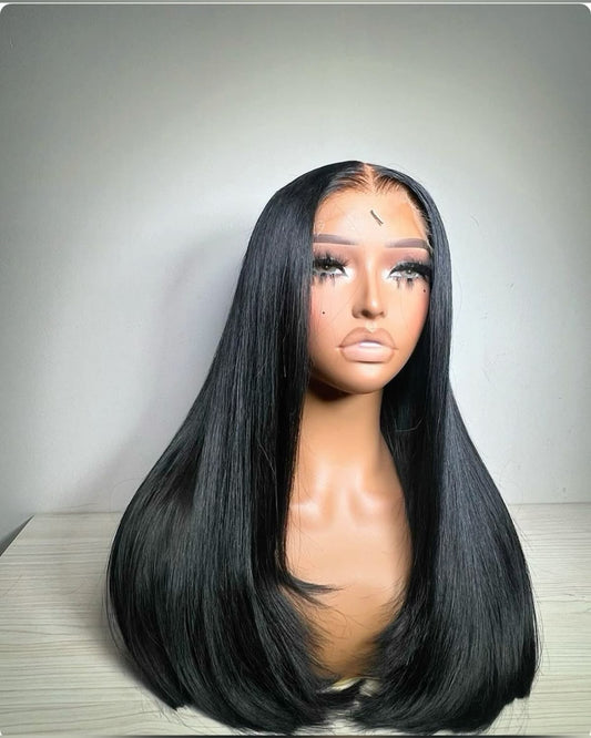 Raw Vietnamese Straight HD Lace Wigs